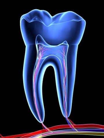 Fogmegtartó kezelések - Kosztolányi Dental fogászat